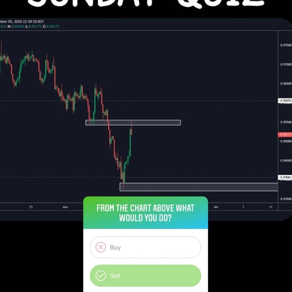 Meet your Posher, Basil - Picture 1 of 1